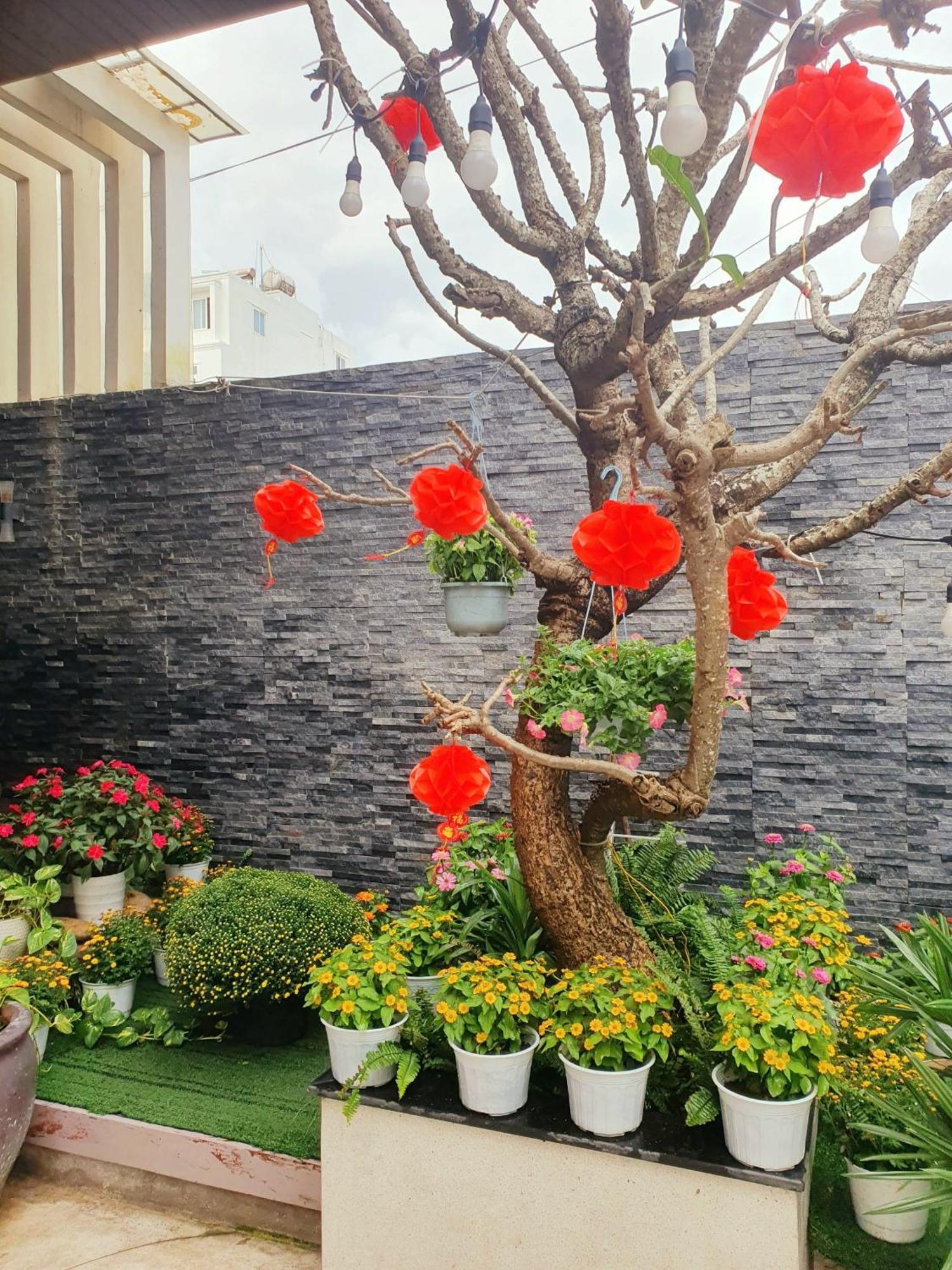Animor 3* Da Nang