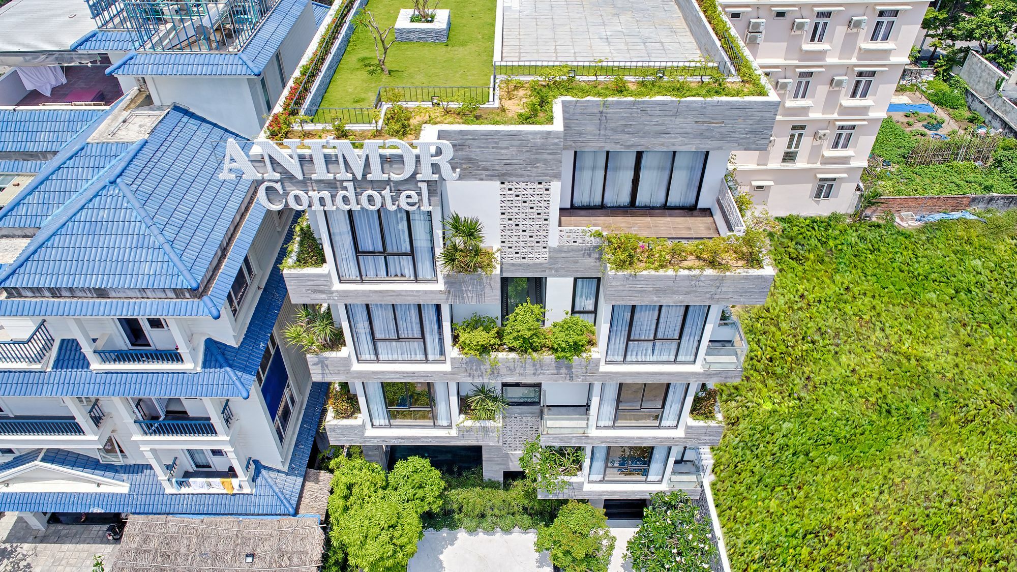 Hotel Animor